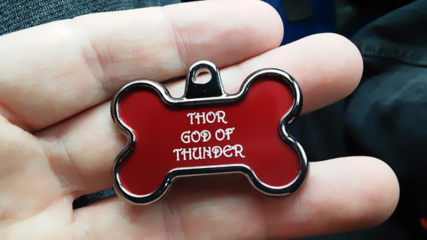 Thor God Of Thunder