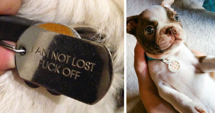44 Hilarious Collar Tags For Pets Who Tend To Get Lost