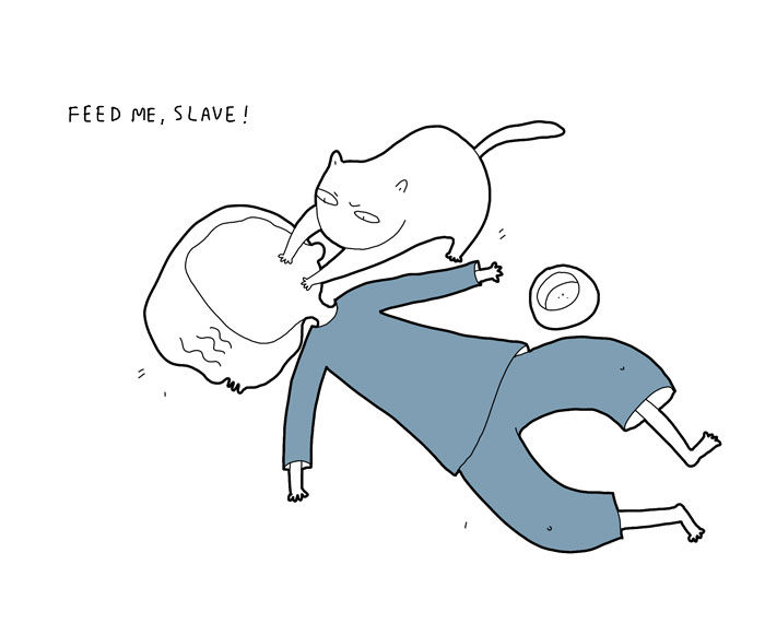 If My Cat Could Speak