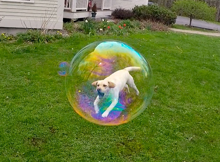 144 Perfectly Timed Pics That Will Make You Look Twice