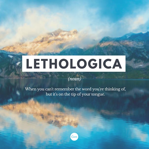 graphic-typeface-design-beautifully-illustrated-tips-poppie-pack-4