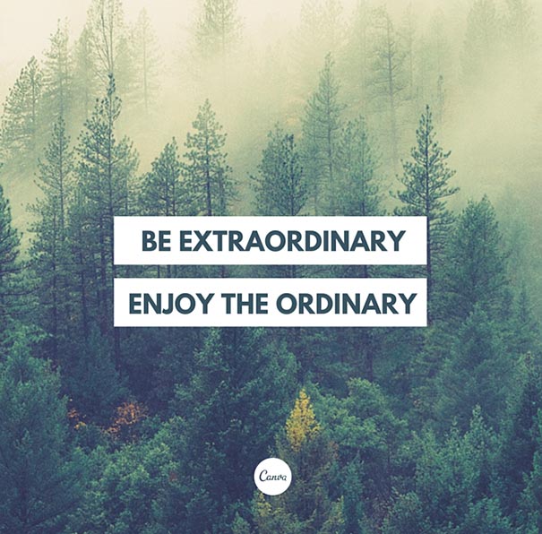 graphic-typeface-design-beautifully-illustrated-tips-poppie-pack-9