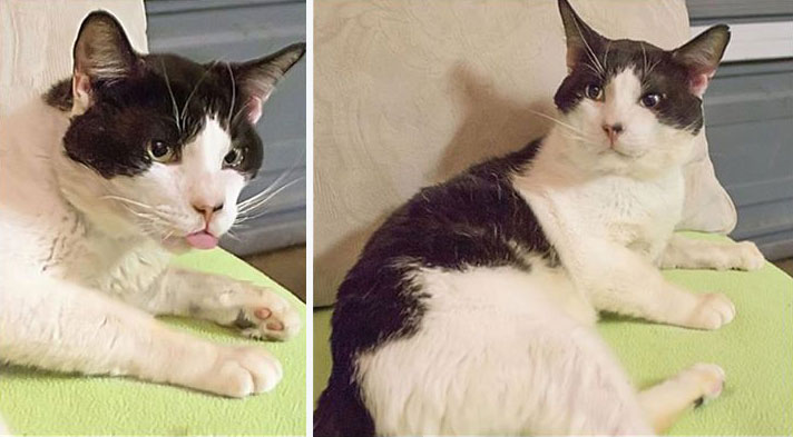 he-needed-help-so-i-helped-him-10