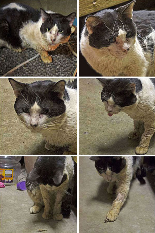 he-needed-help-so-i-helped-him-19