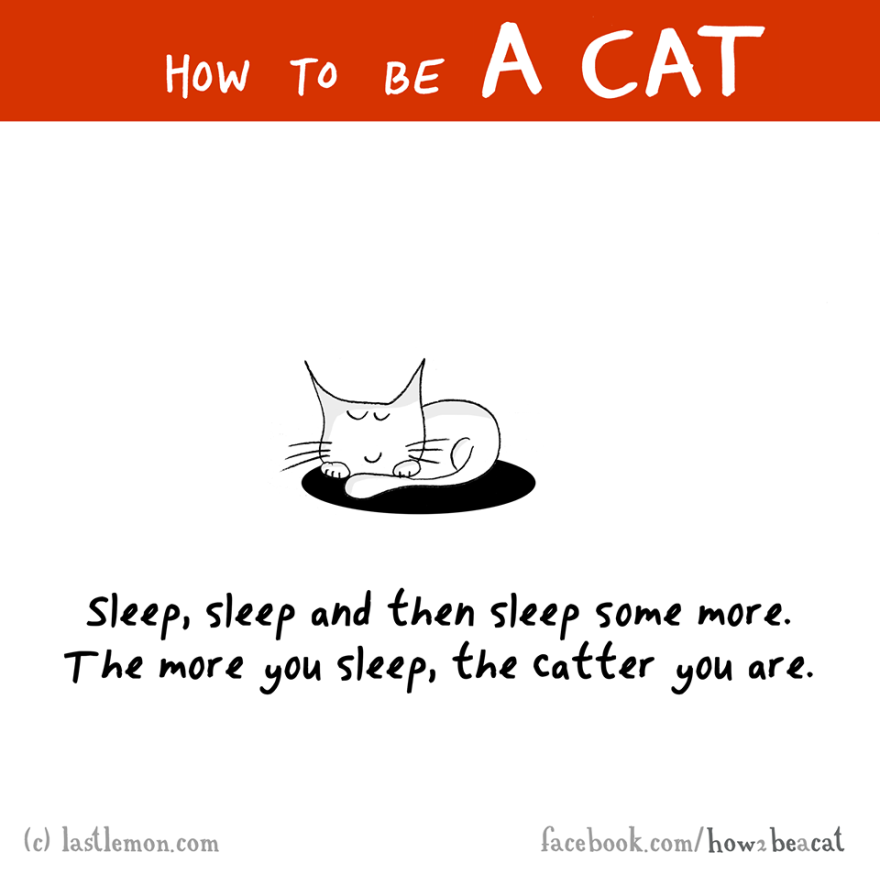 How To Be A Cat
