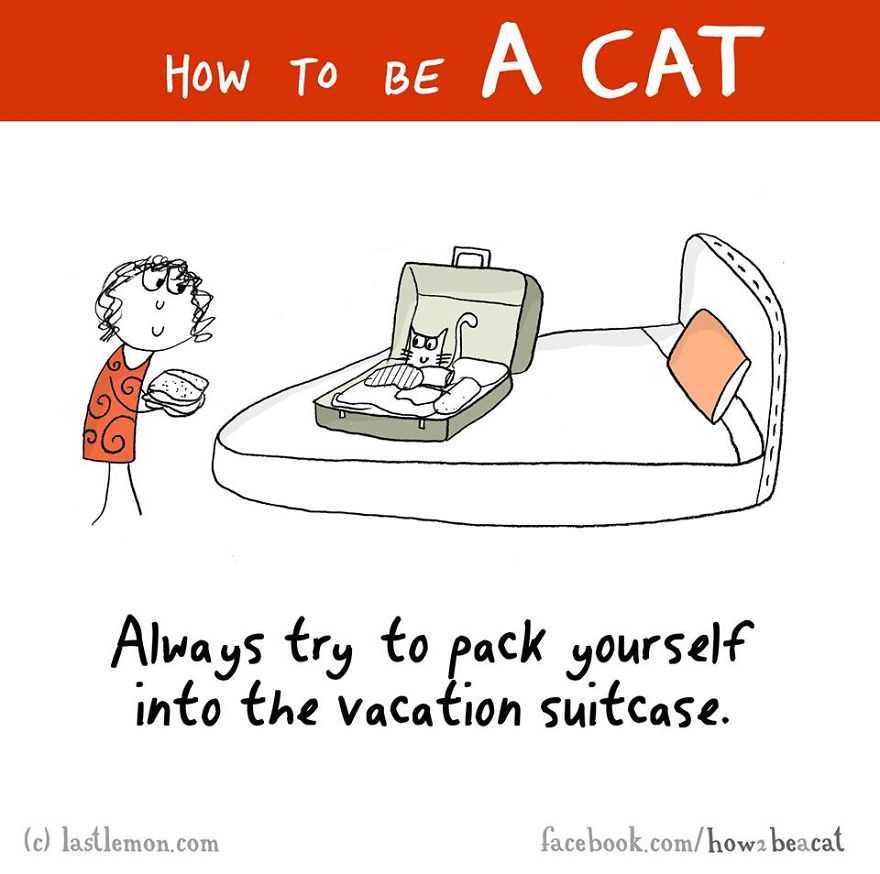 How To Be A Cat
