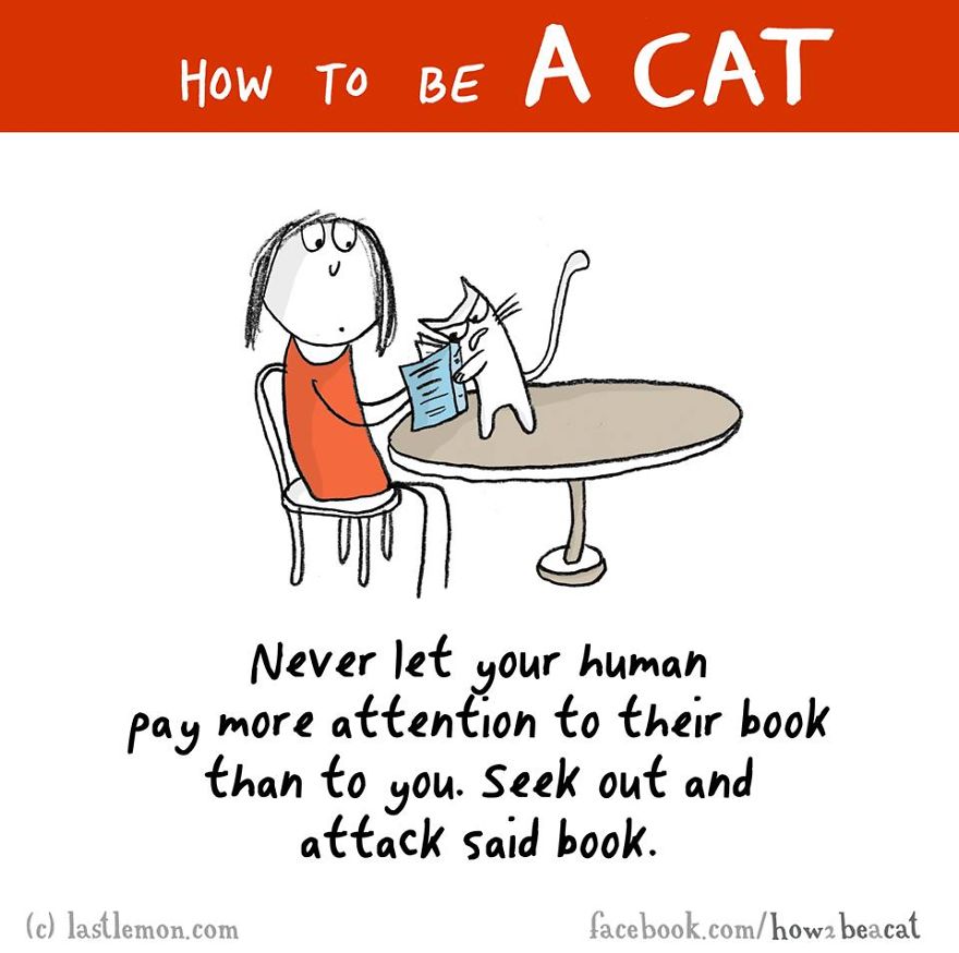 How To Be A Cat