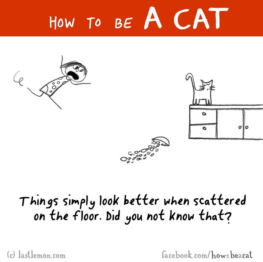 How To Be A Cat