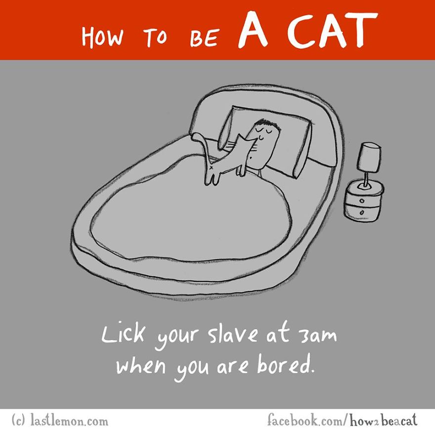 How To Be A Cat