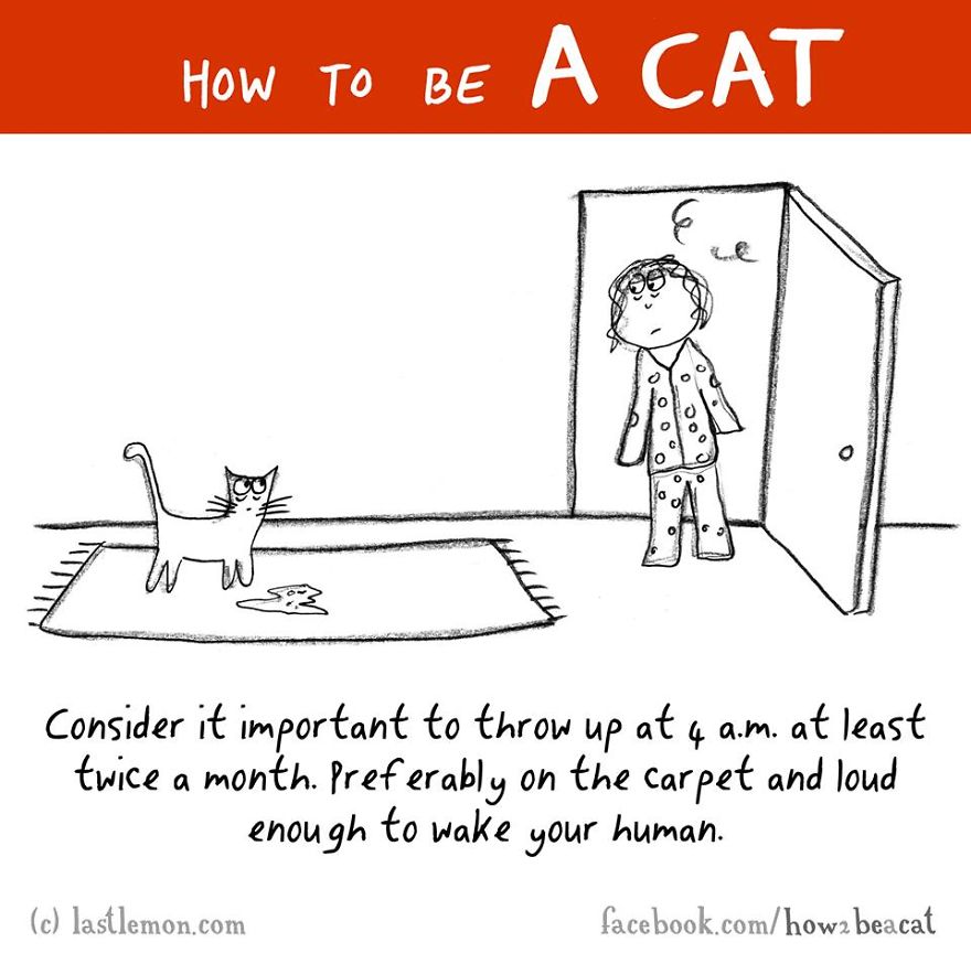 How To Be A Cat