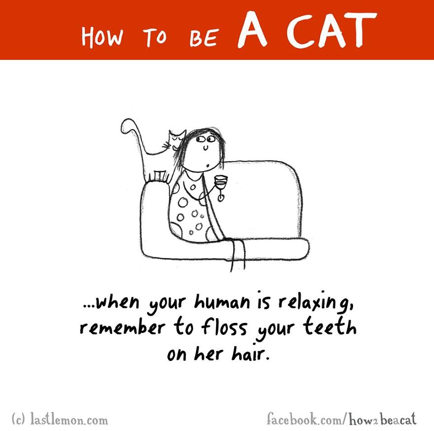 How To Be A Cat