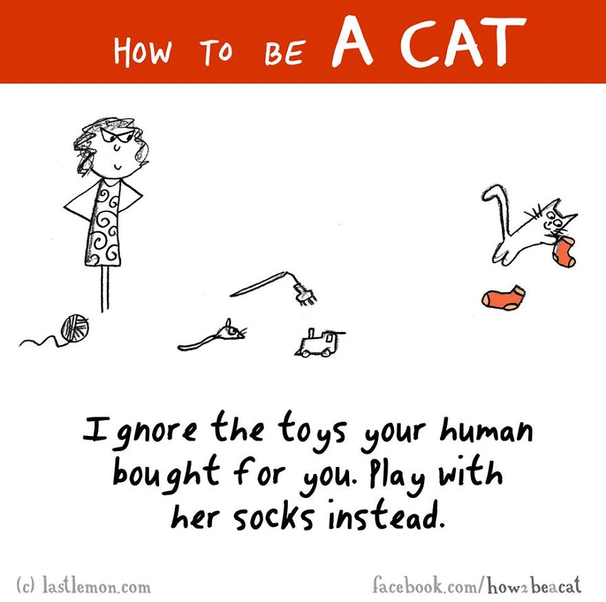 How To Be A Cat