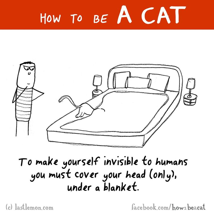 How To Be A Cat