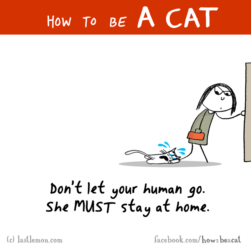 How To Be A Cat