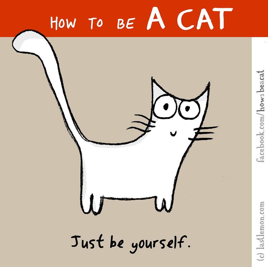 How To Be A Cat