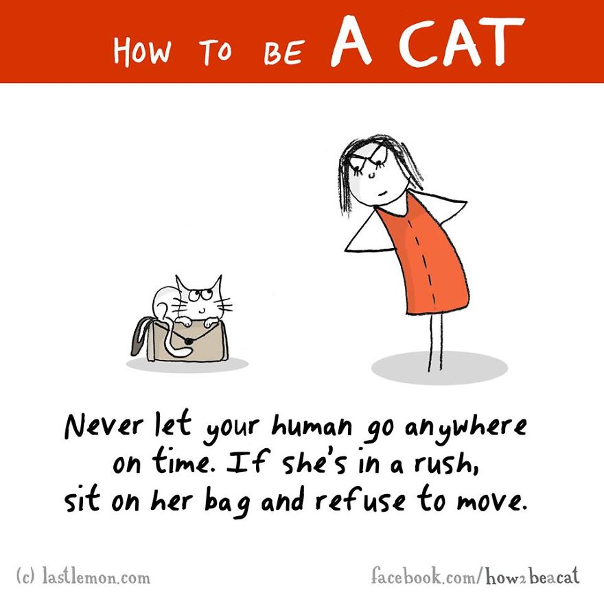 How To Be A Cat