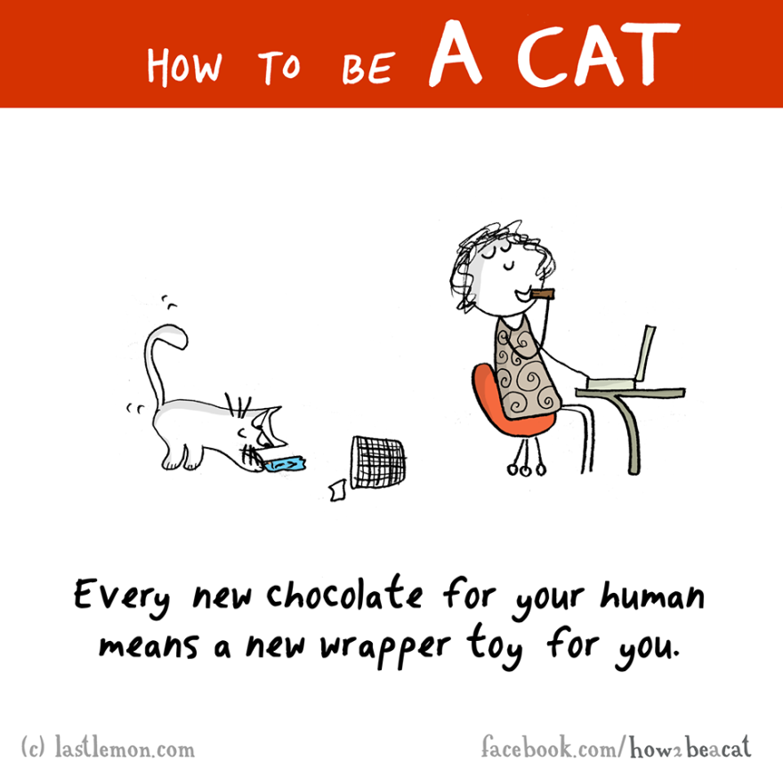 How To Be A Cat