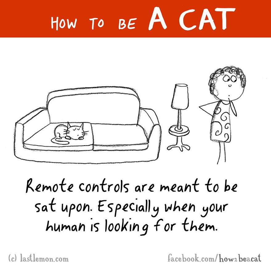 How To Be A Cat