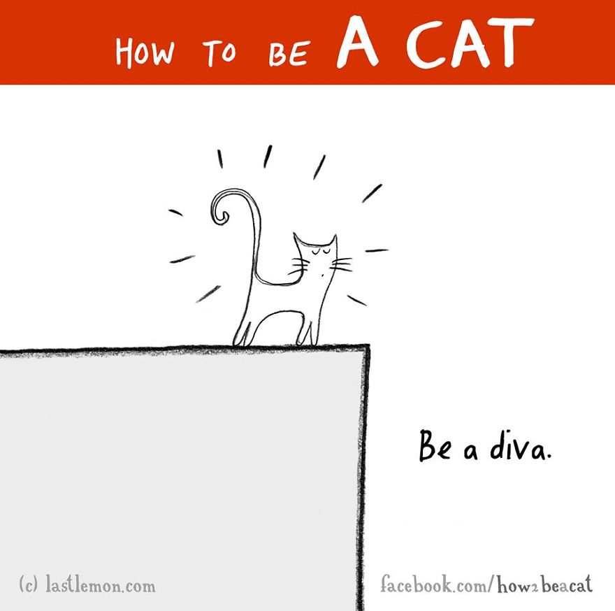 How To Be A Cat