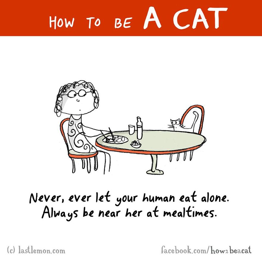How To Be A Cat