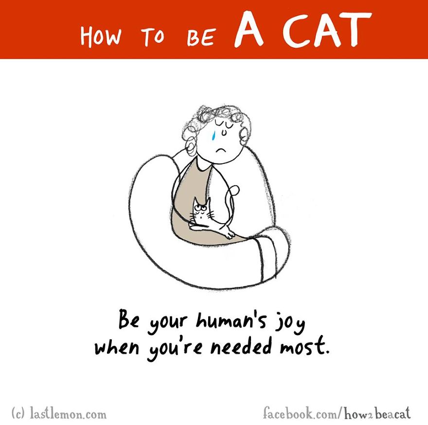 How To Be A Cat