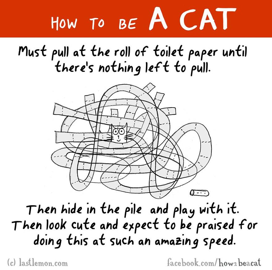 How To Be A Cat