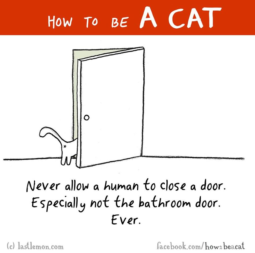 How To Be A Cat