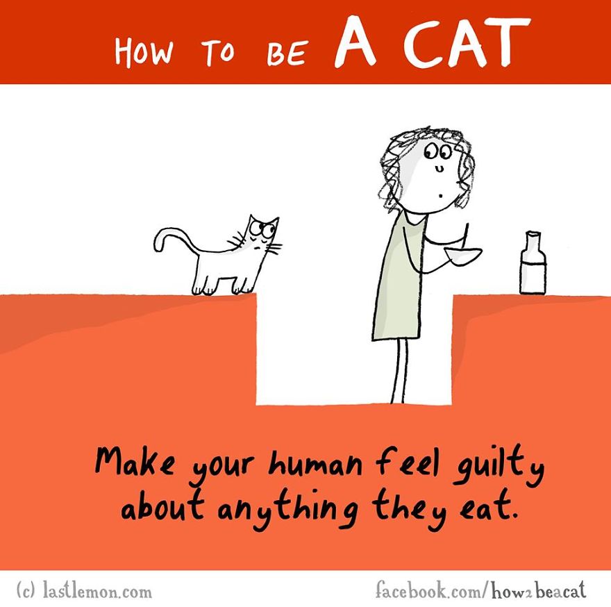 How To Be A Cat