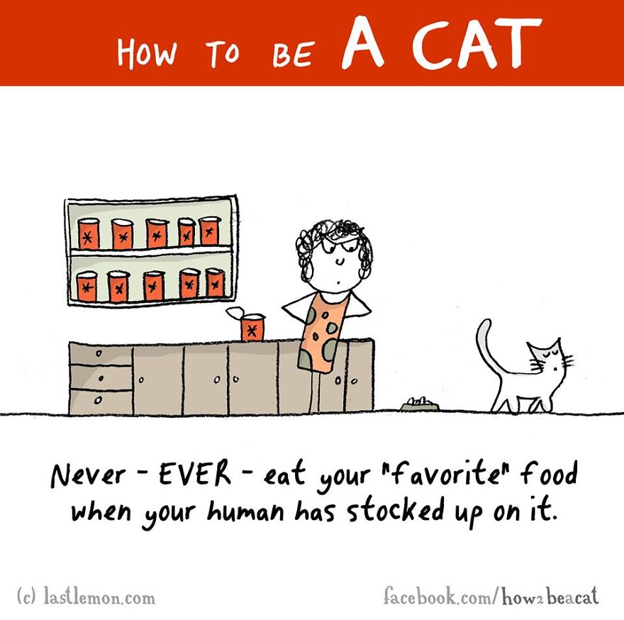How To Be A Cat