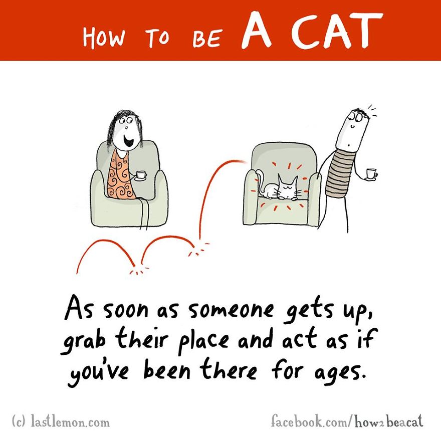 How To Be A Cat