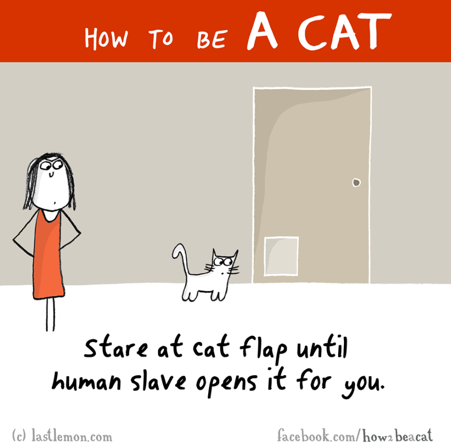 How To Be A Cat