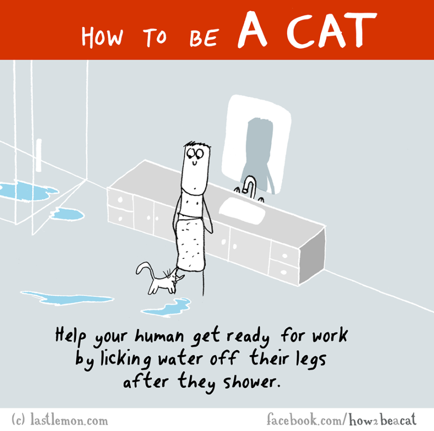 How To Be A Cat