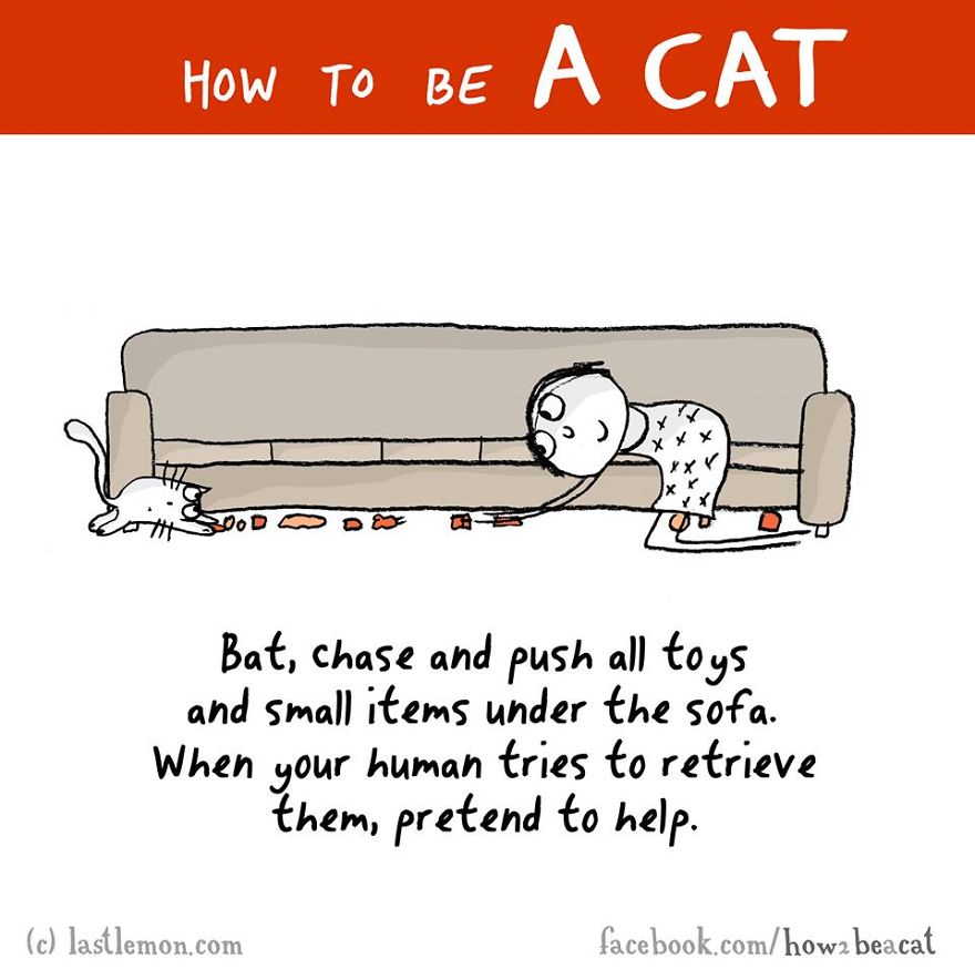 How To Be A Cat