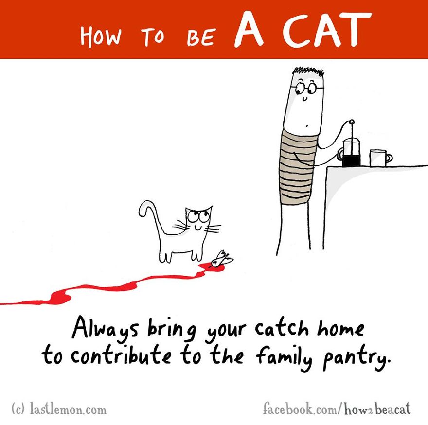 How To Be A Cat