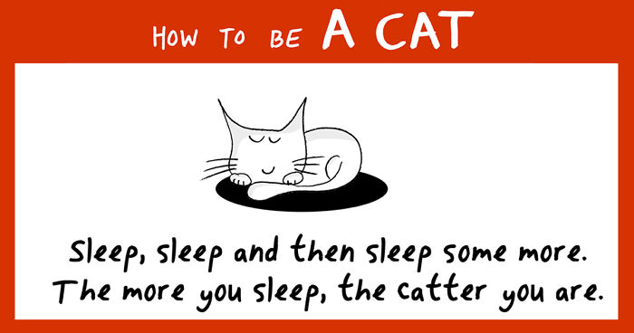 How To Be A Cat (97 pics)