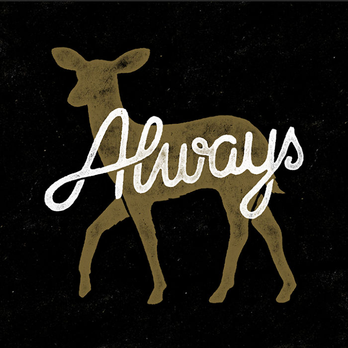 11 Awesome Harry Potter Quotes Paired With Gorgeous Illustrations