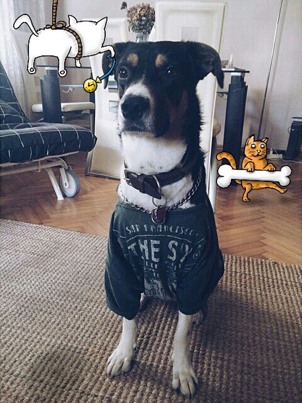 i-added-doodles-to-strangers-photos-part-3-66