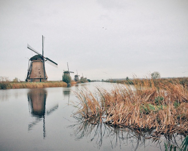 ibm-engineer-quits-job-after-becoming-instagram-famous-croyable-eelco-roos-netherlands-12