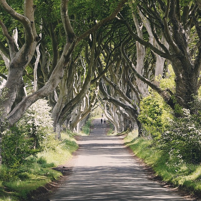 ibm-engineer-quits-job-after-becoming-instagram-famous-croyable-eelco-roos-netherlands-17