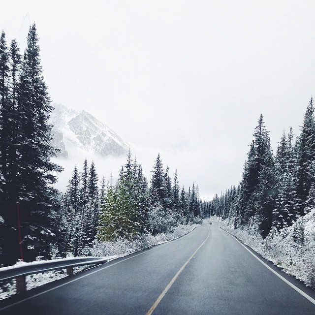 ibm-engineer-quits-job-after-becoming-instagram-famous-croyable-eelco-roos-netherlands-4 ibm-engineer-quits-job-after-becoming-instagram-famous-croyable-eelco-roos-netherlands-4