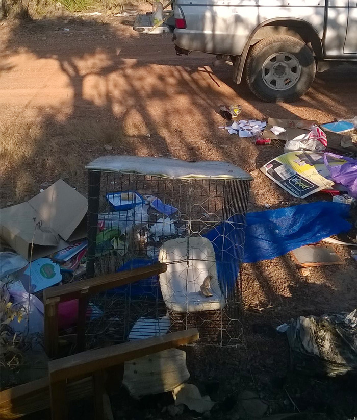 illegal-dump-garbage-front-yard-frederick-tomlinson-queensland-australia-27