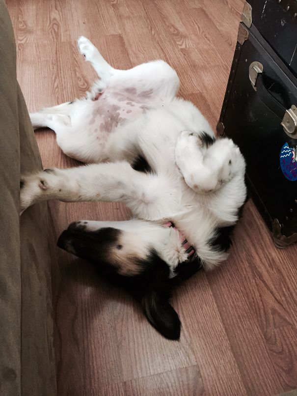 Hallie Can't Even Right Now.