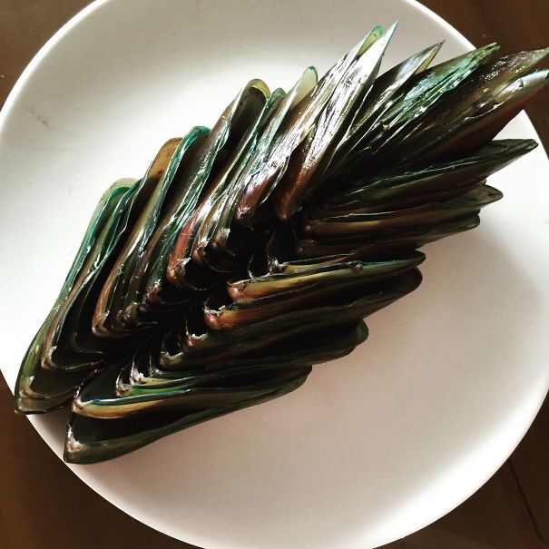 Empty Shells After Dinner