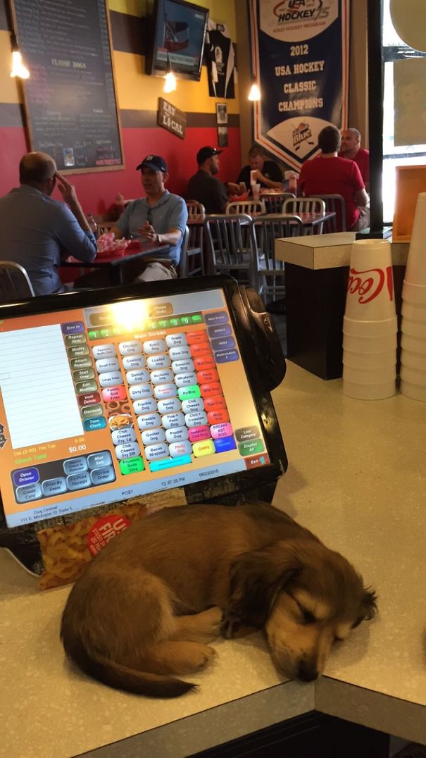 Tired After Taking All Those Orders