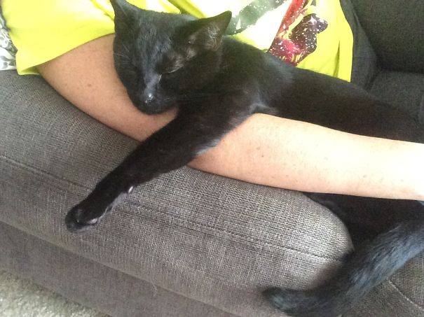 Cooper Was Feral When He Found Me. Now He's A Toothless Old Man And I Adore Him.