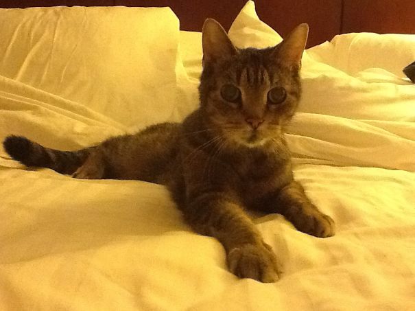 Rumsfeld. Adopted At 10, Lived To 21.