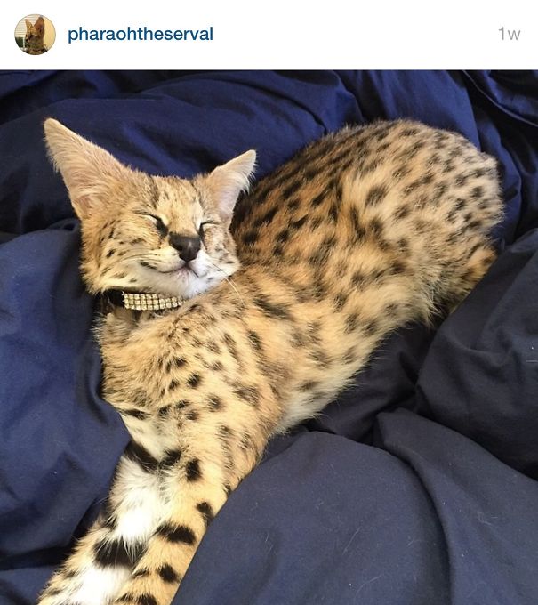 Just Keep Smiling ~ :3