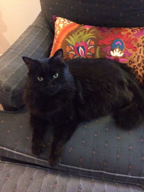 Adopted This Beautiful 9 Year Old Boy From My Elderly Father.