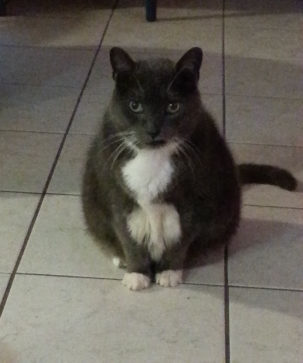 This Is Brett. He Came To Us When He Was 5, Now He Is 16.