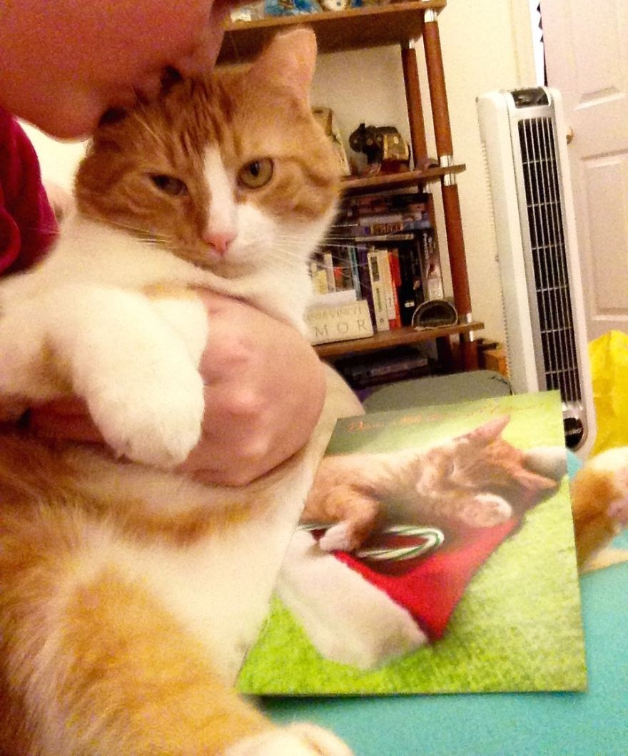 Really, Mom?? (wu, Upper East Side)